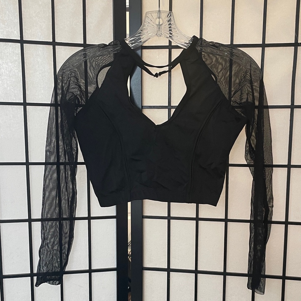Chic Black Mesh Sleeve Crop Top